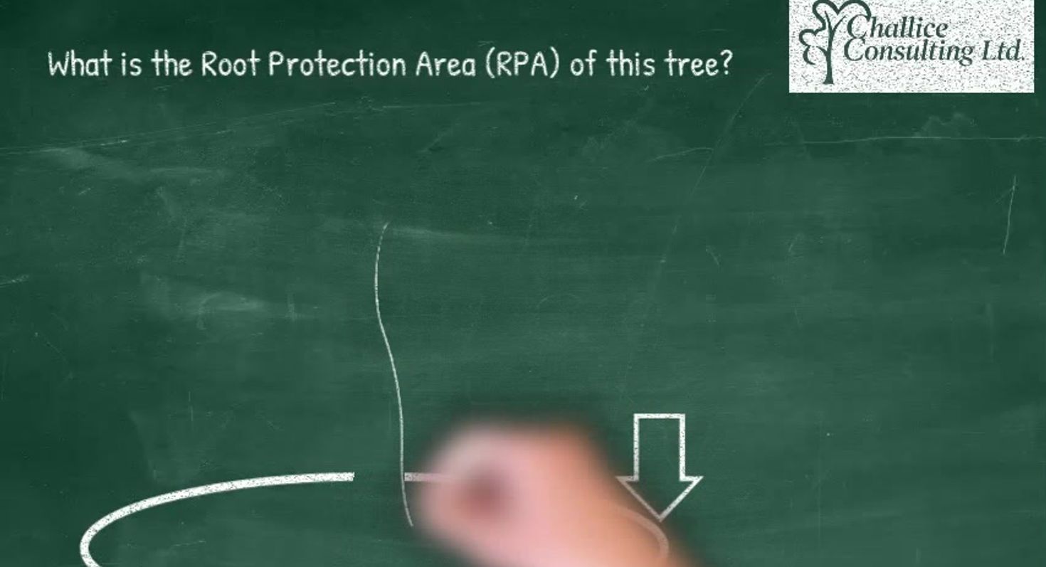 What is the RPA of this tree_